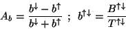 \begin{displaymath}A_{b}=\frac{b^{\downarrow }-b^{\uparrow }}{b^{\downarrow }+b^...
...row }=\frac{B^{\uparrow \downarrow }}{T^{\uparrow \downarrow }}\end{displaymath}